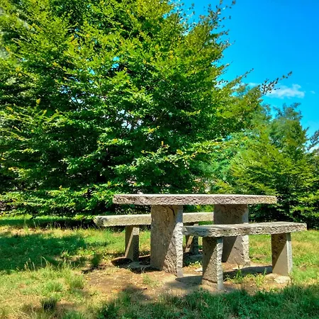 Ex Convitto - * 베르바니아